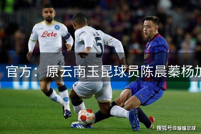 官方：原云南玉昆球员陈晨蓁杨加盟贵州筑城竞技